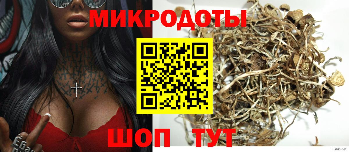 Среднеуральск  Псилоцибиновые грибы Psilocybe  Вход с VPN 